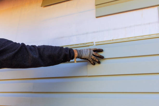 Affordable Siding Repair and Maintenance Services in Valley Hill, NC